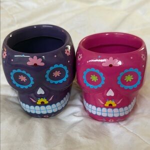Colorful Sugar Skull Planter Set - Purple and Pink